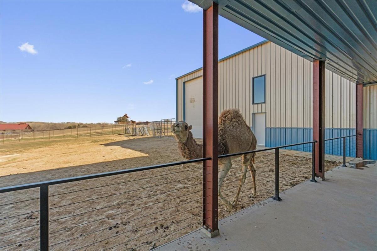 Blue Hills Ranch Hotel McGregor Eksteriør billede